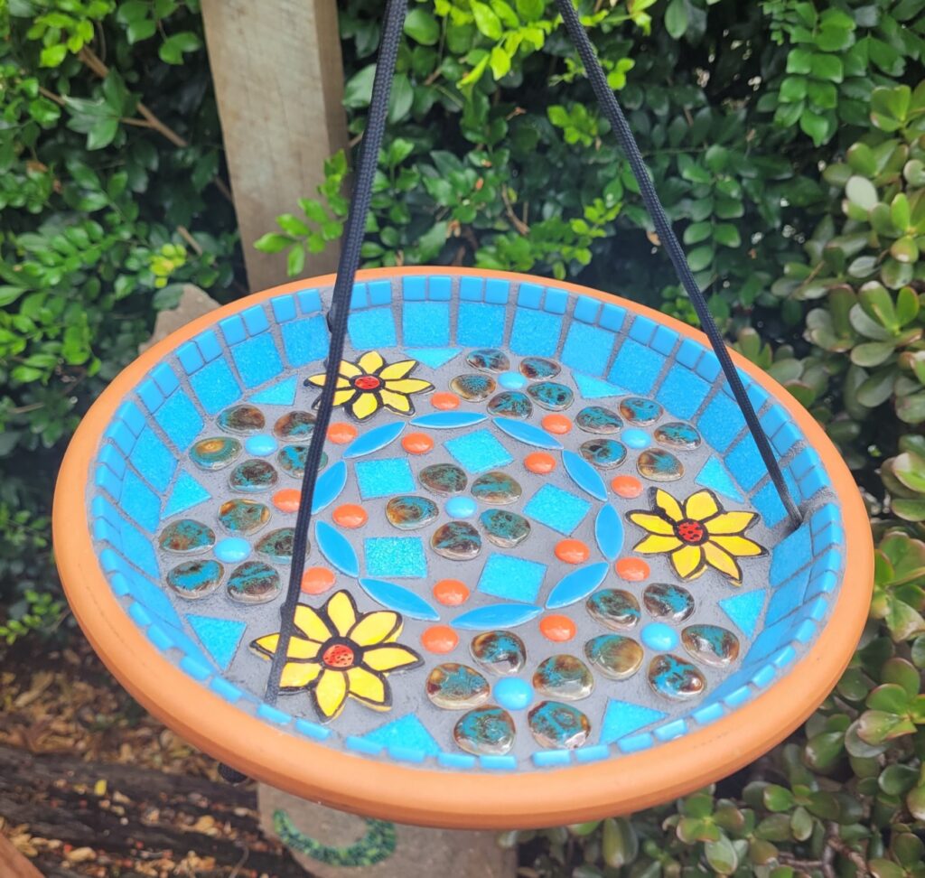 Bird Feeder/Bee Bath - 6 July 2024